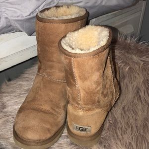Chestnut used uggs , good condition